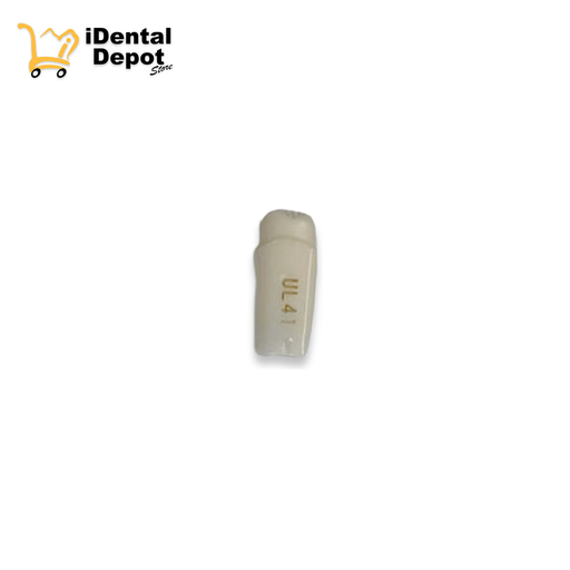 [13-A25AUL41] MUÑON NISSIN #24-UL41