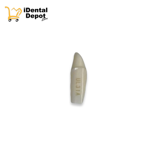 [13-A25AUL31A] MUÑON NISSIN #23-UL31A