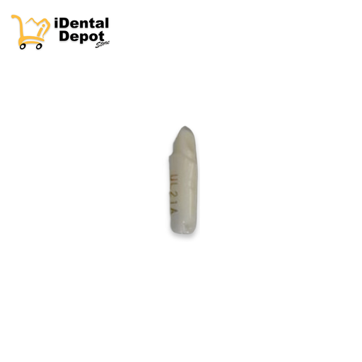 [13-A25AUL21A] MUÑON NISSIN #22-UL21A