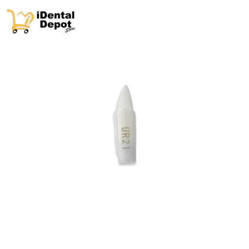 [13-A25ANUR21] MUÑON NISSIN #12-UR21