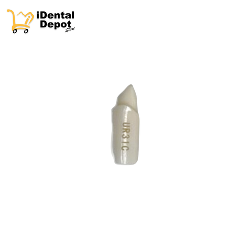 [13-A25ANUR31C] MUÑON NISSIN #13-UR31C
