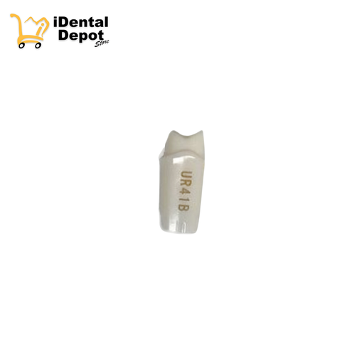 [13-A25ANUR41B] MUÑON NISSIN #14-UR41B