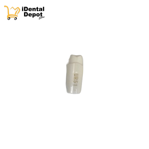 [13-A25ANUR51] MUÑON NISSIN #15-UR51