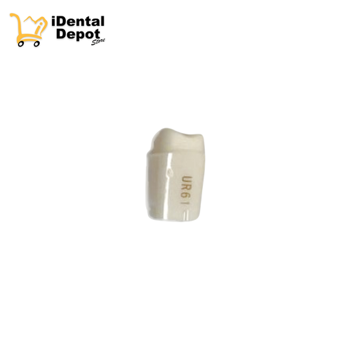 [13-A25ANUR61] MUÑON NISSIN # 16-UR61