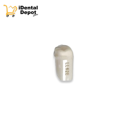[13-A25ALL62E] MUÑON NISSIN #36-LL62E