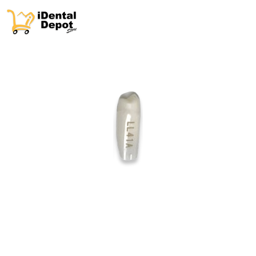 [13-A25ALL41A] MUÑON NISSIN #34-LL41A