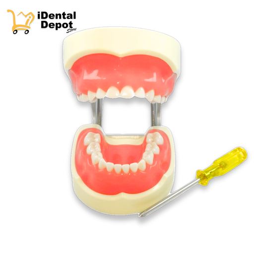 [13-PDI2001ULSPFE _ M] TIPODONTO NISSIN PEDIATRICO (ENCIA SUAVE)