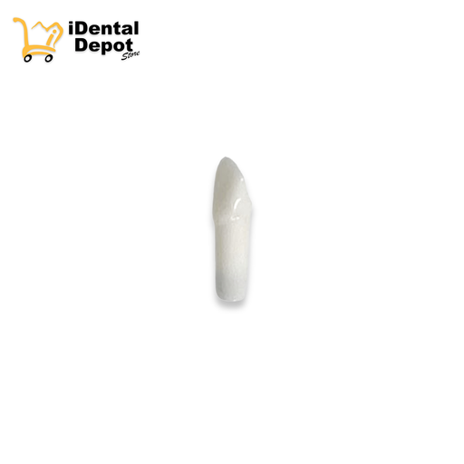 [13-A5AN20012 ] DIENTE 12.LATERAL SUP/DER PERMANENTE