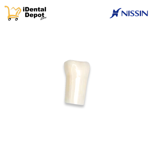 [13-A5AN20024] DIENTE NISSIN 24. PRIMER PREMOLAR SUP/IZQ PERMANENTE 