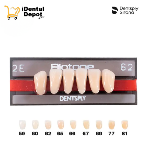 [DPM01130276962] DIENTE ACRILICO ANT 2E-INF-62 BIOTONE