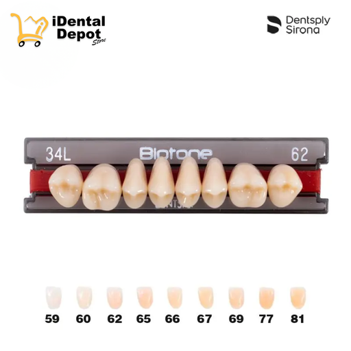 [DPM01130283662] DIENTE ACRILICO POST 34L-SUP-62 BIOTONE