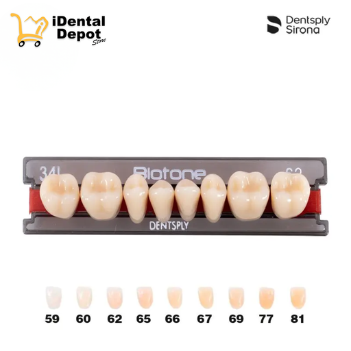 [DPM01130288662] DIENTE ACRILICO POST 34L-INF-62 BIOTONE