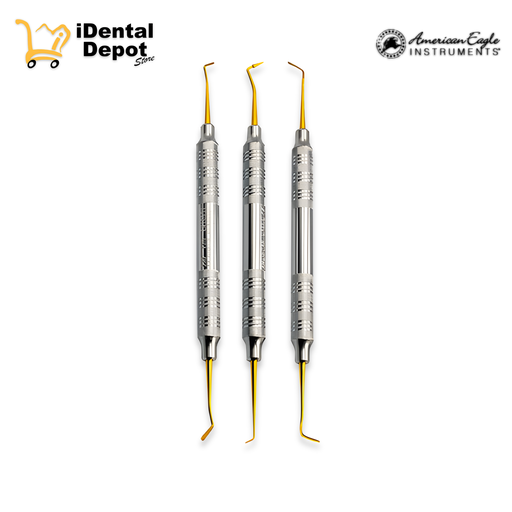 [AME360] COMPO KIT AMERICAN EAGLE CON 3 INSTRUMENTOS ESPATULAS PARA RESINA